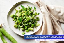 آشنایی با خواص باقالی