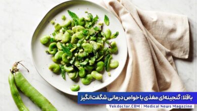 آشنایی با خواص باقالی